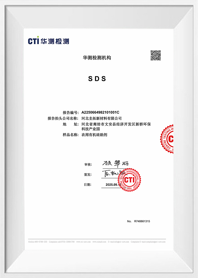 Grup Internasional Pengujian Pusat