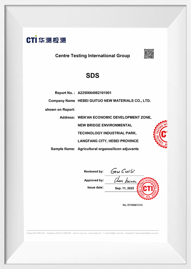 Grup Internasional Pengujian Pusat