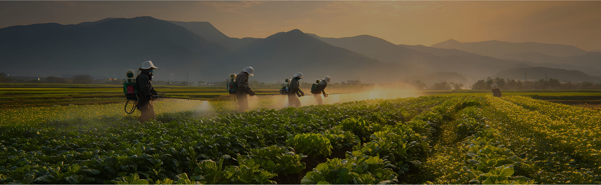 Hebei Guituo Bahan Baru Co., Ltd.